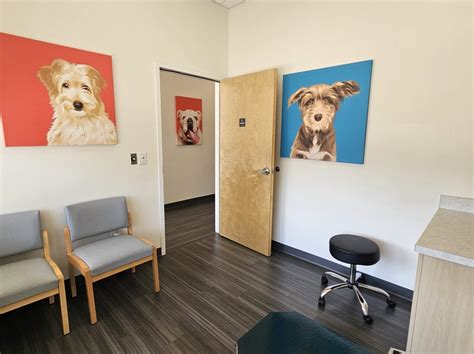 Farmington Vet Clinic Farmington MN: Your Trusted Companion for Pet Health