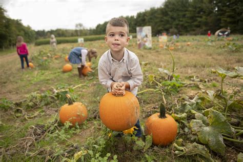 Farms in New Jersey: 6,900 Acres of Bountiful Harvests