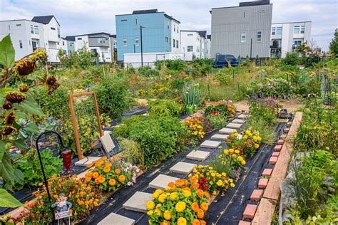 Farms in Singapore: A Guide to Urban Agriculture and Sustainable Farming Practices