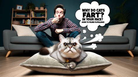 Farting on a Cat: The Ultimate Guide to Feline Flatulence