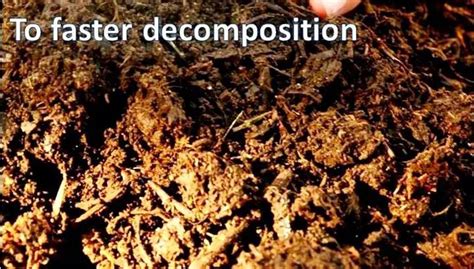 Faster Decomposition: