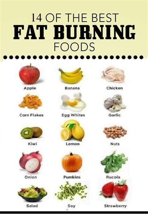 Fat Burning Recipes The Best Fat-Burning Foods to Help You Shed Weight Quickly Kindle Editon