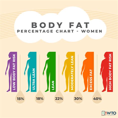 Fat Percentage Woman Chart