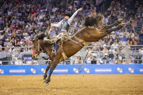 Fat Stock Stampede at the Houston Livestock Show and Rodeo Reader