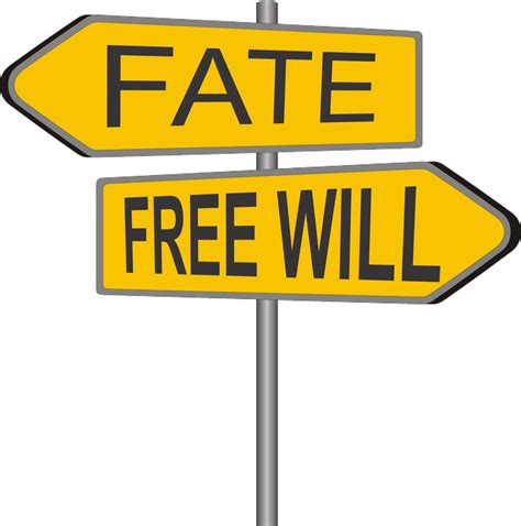 Fate and Free Will: