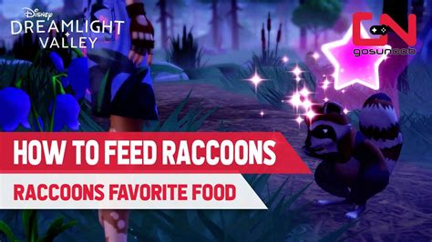 Favorite Raccoon Food That Will Keep Them Coming Back for More