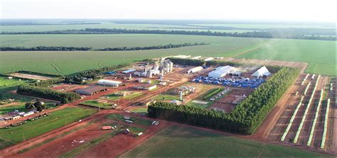 Fazendas do Mato Grosso: O Motor da Economia Agrícola Brasileira