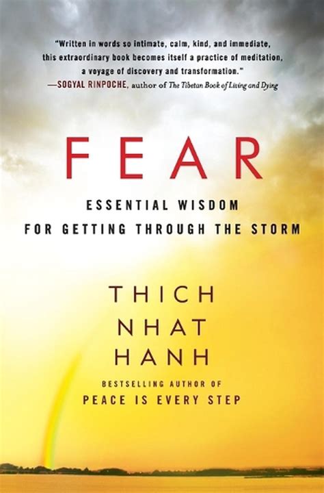 Fear Essential Wisdom for Getting Through the Storm PDF