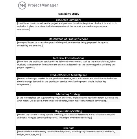 Feasibility Analysis Template