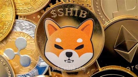 Features and Benefits of Shiba Coin TL