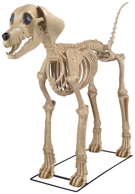 Features of the Home Depot Halloween Skeleton Dog