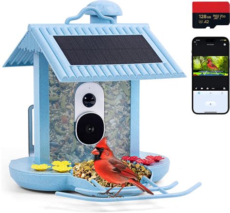 Features that Make the Furbo Bird Feeder Stand Out