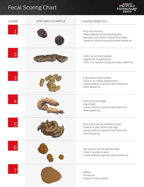 Fecal Score Chart For Dogs