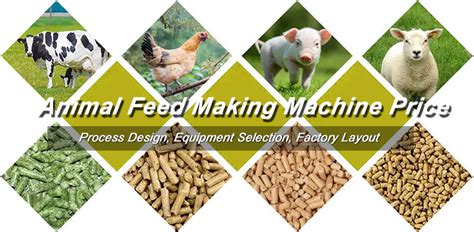 Feed Making Machine: An Essential Guide to the 3-in-1 Solution for Animal Production