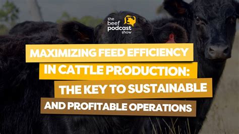 Feed Palletizers: The Key to Efficient and Profitable Feed Production