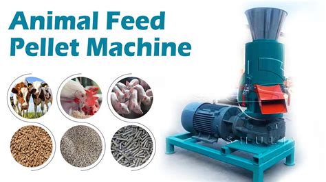 Feed Pellet Coating Machine: Essential Guide for Efficient and Profitable Animal Production