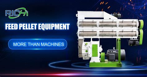 Feed Pellets Machine: Your Comprehensive Guide to 10,000+ Pellets Per Hour