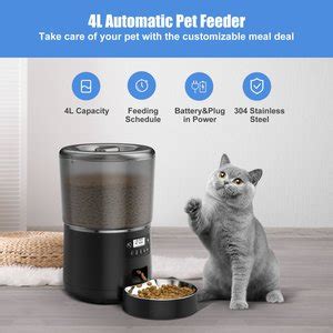 Feed and Go: The 5 Ultimate Cat Feeders of 2025