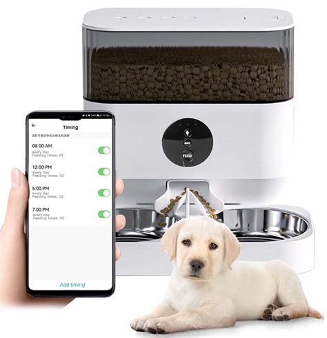 Feed and Go automatic cat feeder design