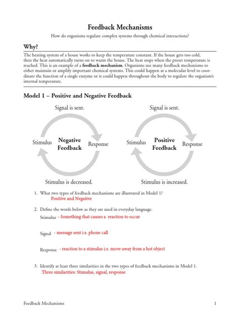 Feedback Mechanisms Pogil Answers Epub