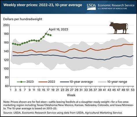 Feeder Calf Prices Today: Tracking Trends for 2023