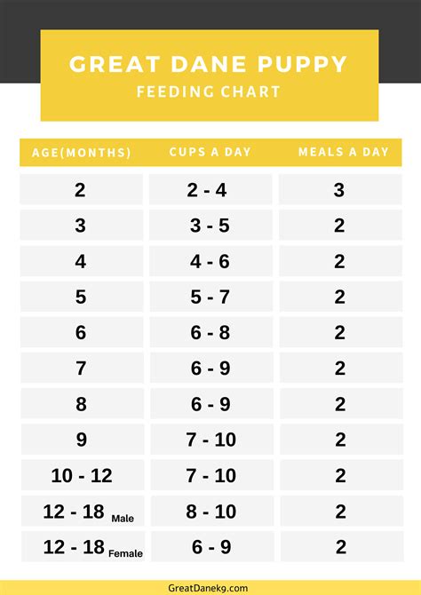 Feeding Chart For Great Dane Puppy
