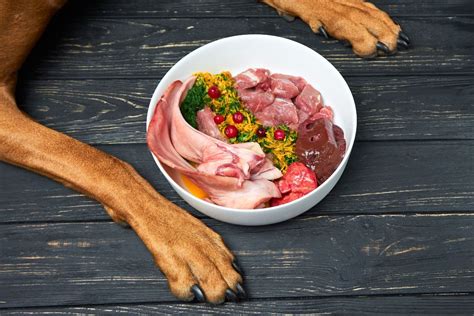 Feeding Dogs Raw Chicken: A Comprehensive Guide for Pet Owners