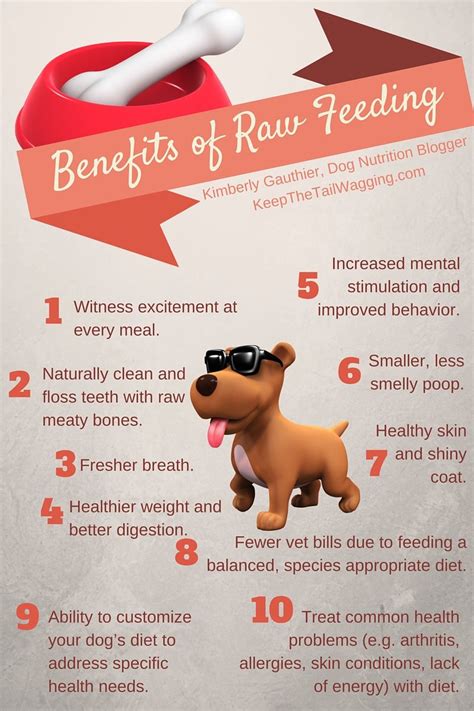 Feeding Dogs Raw Diet: 6 Surprising Health Benefits