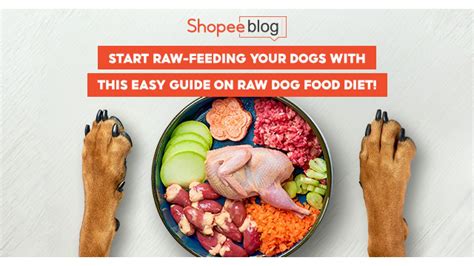 Feeding Dogs Raw Meat: The 10,000+ Word Comprehensive Guide