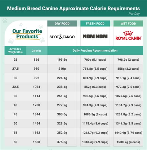 Feeding Intervals and Calorie Requirements