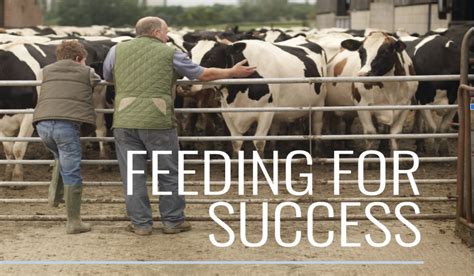 Feeding Your Business Success