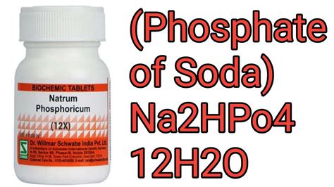 Feeling Overwhelmed and Out of Sorts? Natrum Phosphoricum Might Be the Gentle Lift You Need