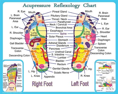 Feet Acupuncture Points Chart