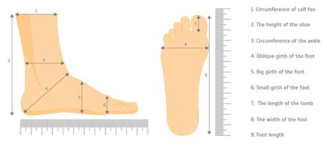 Feet Meter: Measure Your Feet Accurately and Comfortably