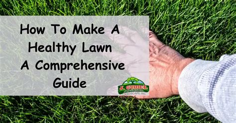 Feet in the Yard: A Comprehensive Guide to Healthy, Thriving Lawn