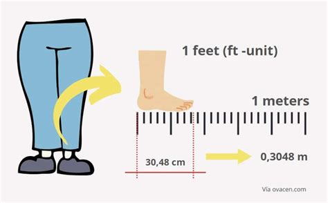 Feet vs. Meters: The Classic Measurement Battle