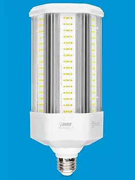 Feit Bulbs LED: 10,000 Character Guide to Energy-Efficient Lighting