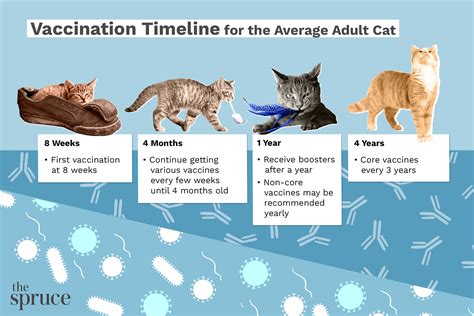 Feline 3-in-1 Vaccine (FVRCP): Your Cat's Essential Protection