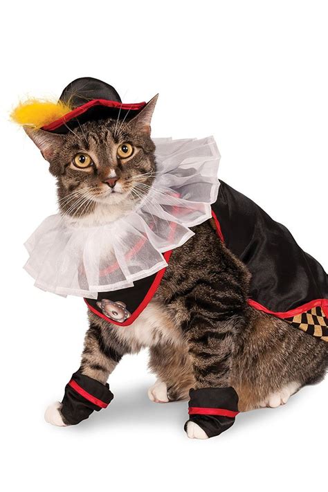 Feline Finery: A Comprehensive Guide to Cat Costumes