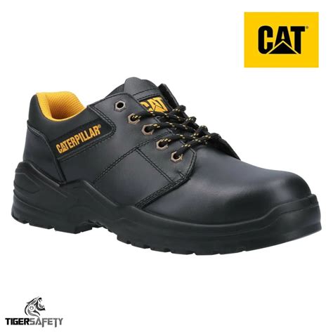 Feline Foot Protection: A Comprehensive Guide to Cat Safety Shoes