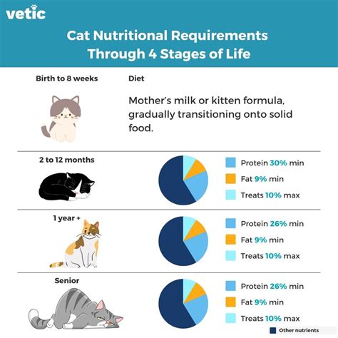 Feline nutrition for different life stages