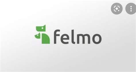 Felmo for Pet Fear and Phobias: The Ultimate Guide to 2025