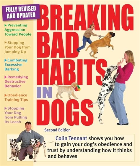 Felonius Dog Training: Unleashing Obedience and Breaking Bad Habits