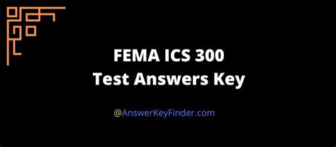 Fema Nims 300 Answers Reader