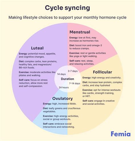 Female Monthly Cycle Chart