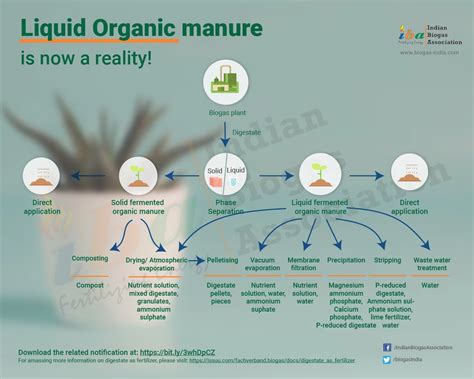 Fermentation Liquid for Fertilizer: 3 Secret Ways to Unlock Its Potential