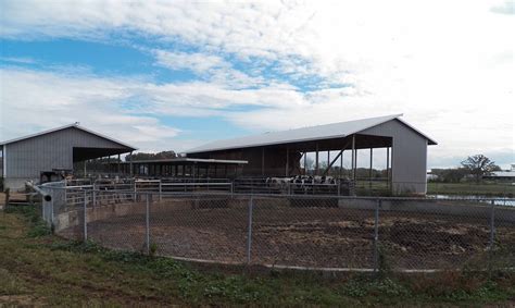 Fermentation Tank: A Game-Changer in Livestock Waste Management