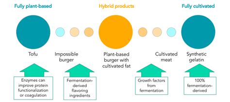 Fermentation Tanks: The Next Frontier in Livestock Nutrition