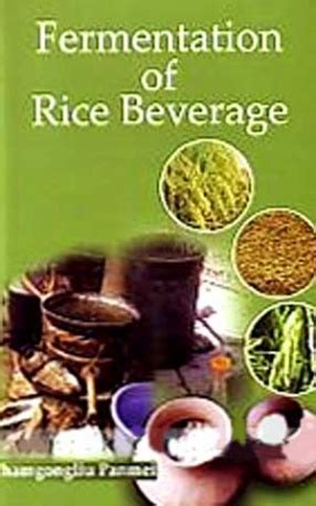 Fermentation of Rice Beverage A Case Study Kindle Editon