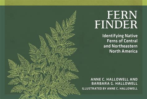 Fern Finder Doc